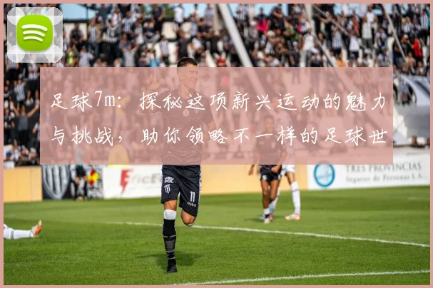 足球7m：探秘这项新兴运动的魅力与挑战，助你领略不一样的足球世界